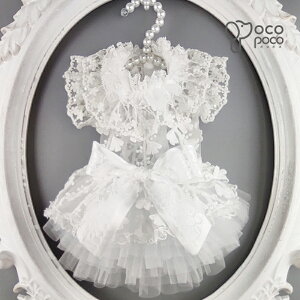 ySi|Cg5{z t t ^  hX nhCh  p[eB[hX s[X i [X LL  OhbO j LOp[eB[ ̕ ybg