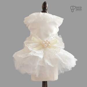 ySi|Cg5{z t  ~ hbOEFA ybgEFA EFfBOhX p[eB[hX s[X lC  Pl vZX  OhbO i j LO