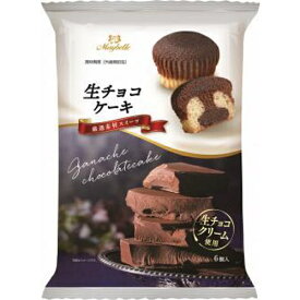 丸中製菓 生チョコケーキ 6個×6入