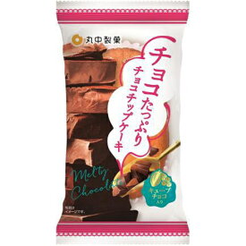 丸中製菓 チョコたっぷりチョコチップケーキ 1個×8入
