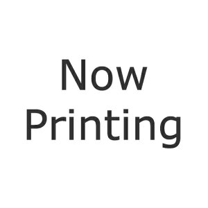 岩塚製菓 大袖振豆もち 10枚×12袋