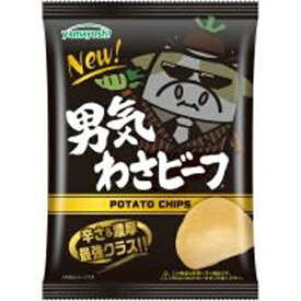 山芳製菓 ポテトチップス 男気わさビーフ 45g×12袋