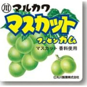 丸川製菓 マスカットフーセンガム 24個