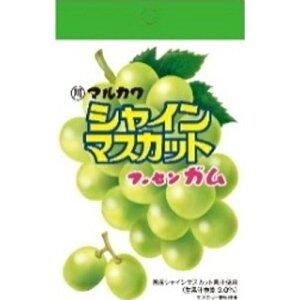 ې쐻 VC}XJbgt[ZK `bN 10