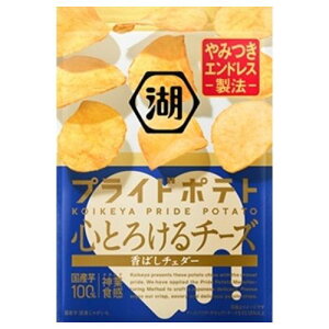 Βr vCh|eg SƂ낯`[Y ΂`F_[ 50g×12܁i10{ח\j