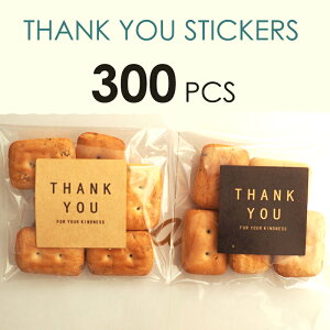 y300z肪Ƃ V[ TL[ THANKYOU 肪Ƃ XebJ[ X v[gG NbL[  nhCh Mtg    a o[XfC o[Xf[ ̓ 
