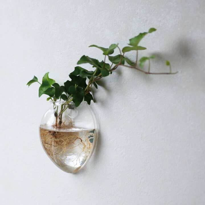 楽天市場 リンネル掲載 倒れない花瓶 壁掛け 壁かけ 花瓶 一輪挿し 小さい ガラス 壁 壁飾り おしゃれ 花びん 夏 涼しげ 癒し インテリア 花 壁かけ 花器 フラワーベース 水耕栽培 コンパクト 贈り物 癒しグッズ かわいい 可愛い 母 おうち時間 誕生日 プレゼント 母 楽天市場 リンネル掲載 倒れない花瓶 壁掛け 壁かけ 花瓶 一輪挿し 小さい ガラス 壁 壁飾り おしゃれ 花びん 夏 涼しげ 癒し インテリア 花 壁かけ 花器 フラワーベース 水耕栽培 コンパクト 贈り物 癒しグッズ かわいい 可愛い 母 おうち時間 誕生日 プレゼント 母