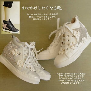 y{z3E łAtāB₷̃nCJbgV[YI؂ GA[C CXg[ /Xj[J[/fB[X/nCJbg/Xj[J[/ʊw/JWA/킢