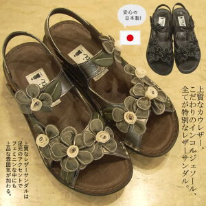 y{ 3EzGKgȑɗDRtH[gT_B芴̂Sn CRW / fB[X / 7cmq[ 10cmq[ / I[vgD ԕ EGbW\[ T_ / 