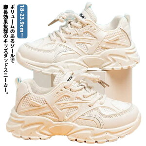 Xj[J[ LbY Xj[J[ j̎q ̎q _bhXj[J[ ^C w ʊwC bV jOV[Y  [Jbg r ΂Ȃ قǂȂCR _XC  