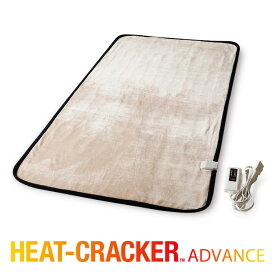 楽天市場 電気毛布 タイマー 季節 空調家電 家電 の通販