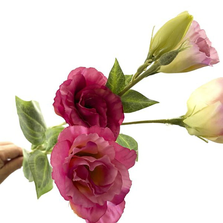 楽天市場 アーティフィシャルフラワー造花リシアンサス トルコ桔梗 モーブピンク 単品花材 アーティフィシャルフラワー Prima ギフト 御祝い 記念日 開業 開店 開院 Prima Greenpark