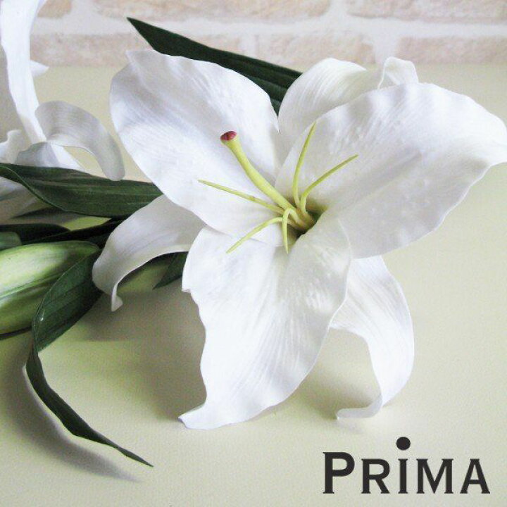 楽天市場 カサブランカ 百合 H77造花 Prima フラワーアレンジメント 枝 葉 実 花 アレンジメント インテリア アレンジ フェイク アートフラワー シルクフラワー おしゃれ 花材 装花資材 一輪挿し Prima Greenpark 楽天市場 カサブランカ 百合 H77造花 Prima フラワーアレンジメント 枝 葉 実 花 アレンジメント インテリア アレンジ フェイク アートフラワー シルクフラワー おしゃれ 花材 装花資材 一輪挿し Prima Greenpark