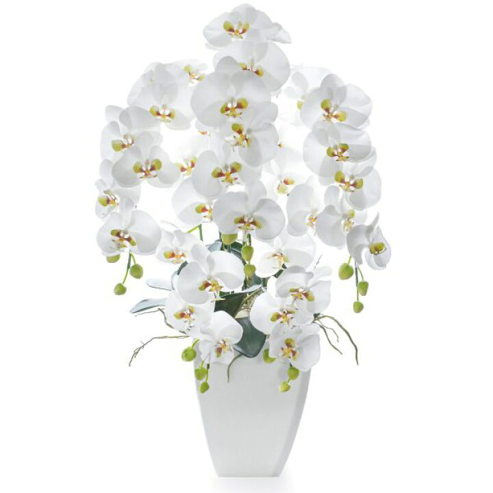 楽天市場 フラワーアレンジメント 造花 アーティフィシャルフラワー 胡蝶蘭 5本立ち Prima アートフラワー アレンジメント アレンジ 開店祝い 開業祝い お祝い コチョウラン 御祝 Prima Greenpark