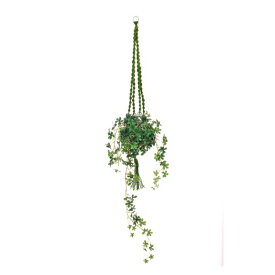 楽天市場 カーテン レール 観葉 植物の通販