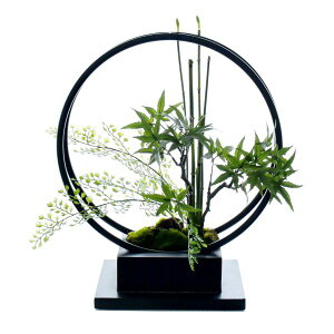 もみじ 盆栽 観葉植物の人気商品 通販 価格比較 価格 Com