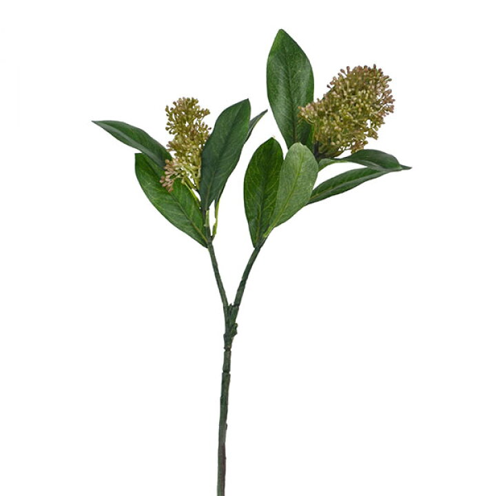 楽天市場 スキミア H47人工観葉植物 造花 Prima 観葉植物 人工 インテリアグリーン アーティフィシャルグリーン フラワーアレンジメント 枝 葉 実 アレンジメント おしゃれ 花材 装花資材 単品 Prima Greenpark