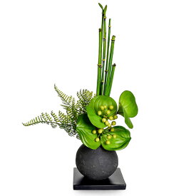 楽天市場 炭 植えの通販