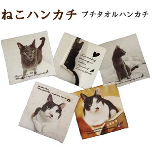 ˂nJ` v`nJ`(X}zN[i[)yʃvg^{ z ^I nJ` nJ`^I Y fB[X Y Mtg v[g ̓ ̓