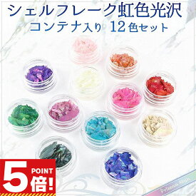 シェルフレーク レジン 封入 素材 ネイル マリン パーツ コンテナ入り 12個/セット 【 UVレジン レジンクラフト レジン レジン封入 封入 素材 材料 パーツ 封入パーツ レジンパーツ レジン材料 レジン素材 ハンドメイド 】