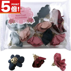 t[^bZ p[c O[ CfBsN JsN Cbh ubN lCr[ 12Zbg (6F×e2)y ANZT[p[c f ޗ nhCh Xgbv p[c L[