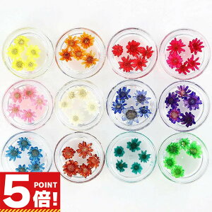 X^[t[ ~j 12F×e5Zbg I y W n[oE{[y }ZhC }Z hCt[  ԍ ޗ  f  ȉ n[oE nhCh 