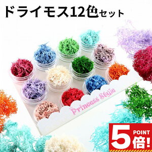 ACXhX hCX A}bNXo[ n[oE W  p[c 12FZbg y AW ޗ  f ԑf nhNtg ANZT[ p[c  ԍ p[c n