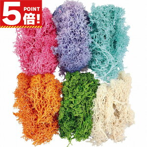 yX[p[SALEΏہIz ACXhX hCX A}bNXo[ n[oE W  p[c 6FZbg y AW ޗ  f ԑf nhNtg ANZT[ p[