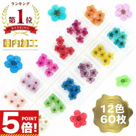 【スーパーSALE対象！】 ドライフラワー 上質 押し花 素材 パーツ こでまり 60枚 セット 【 レジン 材料 花材 デコ レジン封入 ネイル 封入素材 花素材 封入 レジンクラフト アクセサリー 花 小花 レジンパーツ レジン素材 ハンドメイド 】