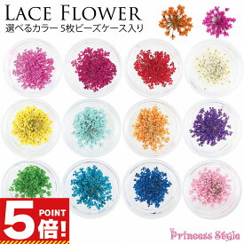 【P5倍! スーパーセールCPあり】　ドライフラワー 押し花 素材 パーツ レースフラワー 単色 5枚 ケース入り 【 レジン 材料 花材 デコ レジン封入 ネイル 封入素材 花素材 封入 レジンクラフト アクセサリー 花 小花 封入パーツ レジンパーツ 素材 ハンドメイド 】