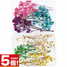 【スーパーSALE 10%オフ P5倍!】 かすみ草 咲いた花 ドライフラワー ハンドメイド用 小分け 花材 6色/セット 【 レジン封入 封入素材 花素材 封入 ハーバリウム レジン アクセサリー パーツ 花 花材 封入パーツ レジンパーツ レジン材料 レジン素材 かすみそう 】