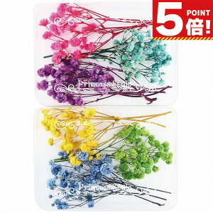 ݑ 炢 hCt[ nhChp  ԍ 6F/Zbg y W f ԑf  n[oE W ANZT[ p[c  ԍ p[c Wp[c 