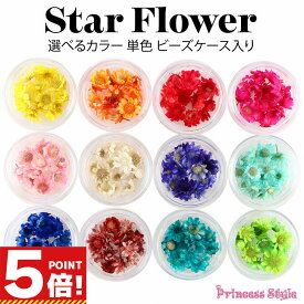 【P5倍!お買い物マラソンCPあり】 スターフラワー ミニ ビーズケース入り 単色 【 レジン ハーバリウムボールペン マルセラドライ マルセラ ドライフラワー 花 花材 材料 封入 素材 小花 小さな花 ハーバリウム ハンドメイド 手芸 手作り パーツ 小分け 】