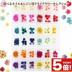 ネイル レジン パーツ ドライフラワー 選べる セレクション 【 花材 封入パーツ 封入 押し花 素材 材料 ジェル ネイルアート アクセサリー 小花 小さい花 レジン材料 】