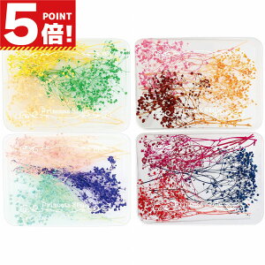 yX[p[SALE zIz@~jݑ  W ANZT[p[c n[oE A}bNXTVF ԍ  f ޗ p[c 12F{[Zbg y n[oE{[y