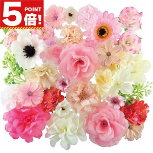  ԍ ޗ tFCNt[ Ԃ̂ fR[V o K[x  fCW[ nhCh ZNV sNn