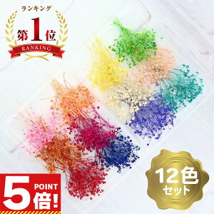 ݑ hCt[ ~j 12F Zbg y n[oE{[y W f ԑf  W ANZT[ p[c  ԍ p[c Wp[c Wޗ Wf