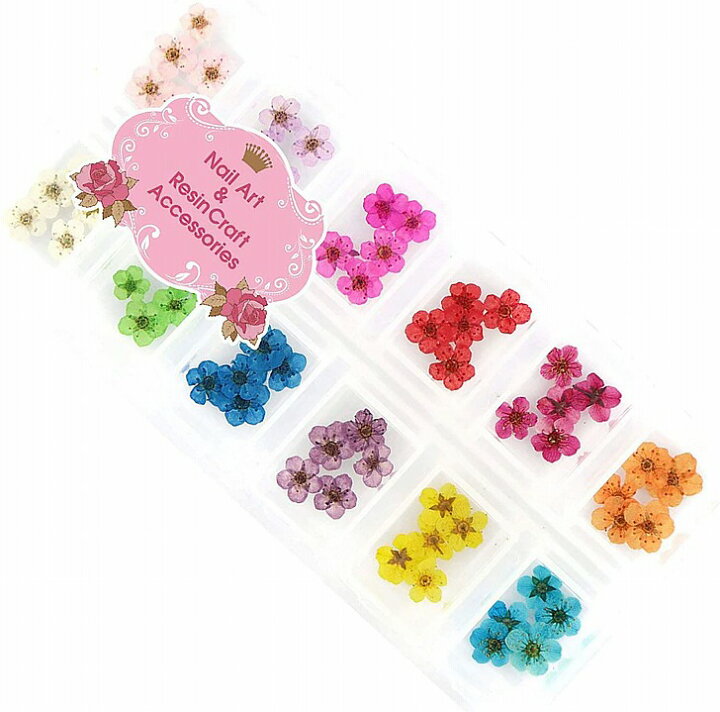 楽天市場 ドライフラワー 上質 押し花 こでまり 60枚 ネイル パーツ レジン 封入 新ケース入 12色 各5枚 プリンセススタイル 楽天市場店