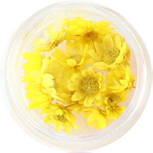 X^[t[ ~j r[YP[X PF y W n[oE{[y }ZhC }Z hCt[  ԍ ޗ  f  ȉ n[oE nhCh 