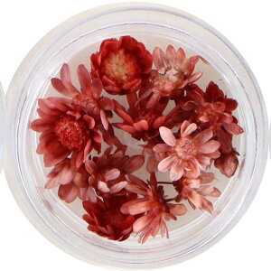 X^[t[ ~j r[YP[X PF y W n[oE{[y }ZhC }Z hCt[  ԍ ޗ  f  ȉ n[oE nhCh 