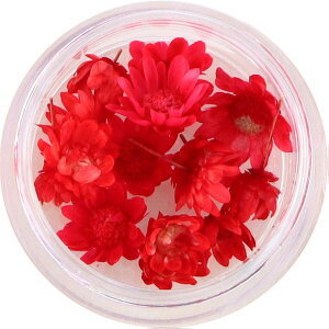 X^[t[ ~j r[YP[X PF y W n[oE{[y }ZhC }Z hCt[  ԍ ޗ  f  ȉ n[oE nhCh 