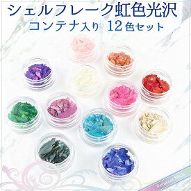 シェルフレーク レジン 封入 素材 ネイル マリン パーツ コンテナ入り 12個/セット 【 UVレジン レジンクラフト レジン レジン封入 封入 素材 材料 パーツ 封入パーツ レジンパーツ レジン材料 レジン素材 ハンドメイド 】