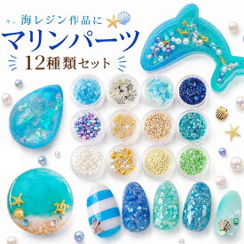 海 レジン封入セット 星の砂 シェル パーツ 12種セット【 マリン レジン 材料 パーツ 夏 UVレジン 封入素材 ネイル ハーバリウム シャカシャカ シェイカー デコ 素材 アソート】