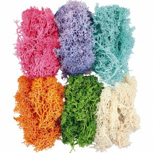 ACXhX hCX A}bNXo[ n[oE W  p[c 6FZbg y AW ޗ  f ԑf nhNtg ANZT[ p[c  ԍ p[c n