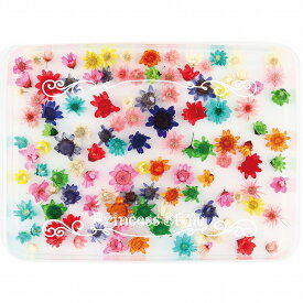スターフラワー 無選別 アソートセット　トレイ入り 【 レジン ハーバリウムボールペン ドライフラワー 花 花材 材料 封入 素材 小花 小さな花 ハーバリウム ハンドメイド 手芸 手作り パーツ 小分け 】