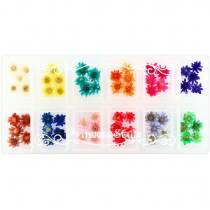 X^[t[ ~j 12F×e5Zbg 12}XP[X y W n[oE{[y }ZhC }Z hCt[  ԍ ޗ  f  ȉ n[oE n