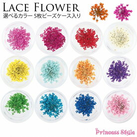 ドライフラワー 押し花 素材 パーツ レースフラワー 単色 5枚 ケース入り 【 レジン 材料 花材 デコ レジン封入 ネイル 封入素材 花素材 封入 レジンクラフト アクセサリー 花 小花 封入パーツ レジンパーツ 素材 ハンドメイド 】