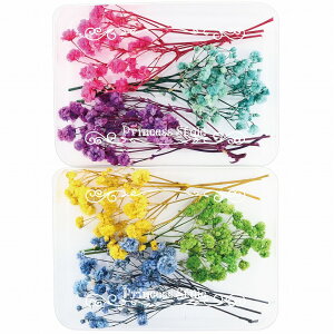 ݑ 炢 hCt[ nhChp  ԍ 6F/Zbg y W f ԑf  n[oE W ANZT[ p[c  ԍ p[c Wp[c 