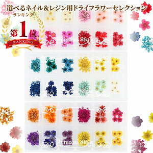 ネイル レジン パーツ ドライフラワー 選べる セレクション 【 花材 封入パーツ 封入 押し花 素材 材料 ジェル ネ