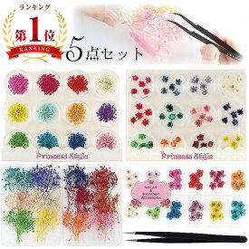 ドライフラワー 押し花 詰め合わせ セット【 ハンドメイド 親子 レジン 花材 素材 材料 封入 パーツ アクセサリー かすみ草 小さい 小さな 花 小分け 封入素材 花素材 ネイル 封入パーツ レジンパーツ レジン材料 レジン素材 】